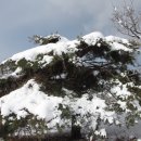 다운목장 이미지