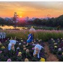 신흥근린공원 이미지