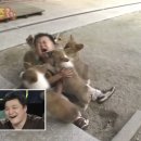 희희락락 이미지