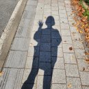 세종 바른 운동 | 계단운동으로 효과보려면 세 가지만 기억하세요![세종어진동/도담동운동후기]