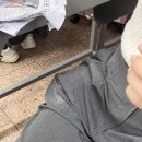 반짝이언냐 이미지