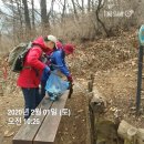 수시코스 이미지