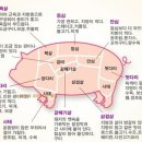 황금상회 이미지