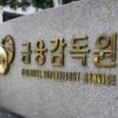 금융감독원 이미지