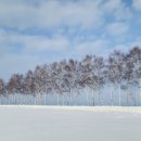 홋카이도 이미지