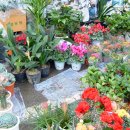 초지로1 이미지