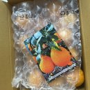 민우농장 이미지