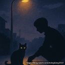 고양이 자리 | [후기] 브런치 연재작 &lt;고양이 자리&gt;