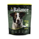 밸런스독 이미지