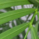 화천내과의원 이미지