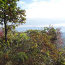 여주-0910 이미지