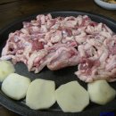 유황생오리가 티스토리