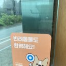 어라운드베이글 | 맛집12. 대구 가창 어라운드베이글 내돈내산 후기