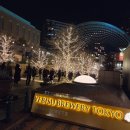 에비스 | 도쿄 에비스 가든 플레이스 크리스마스 일루미네이션 명소 방문 후기