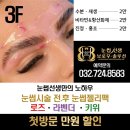 눈썹선생