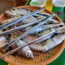 속초동경 이미지