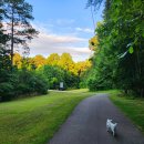 나무그늘파크(park) 이미지