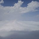 박종애농장 이미지