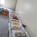 황부자뷔페 이미지