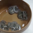 남도뻘낙지 이미지