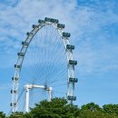 평천초교 이미지