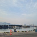 하얀등대이모야 이미지