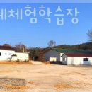 이조도예체험학습장 네이버블로그