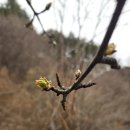 노래 제목이 뭐라꼬~~ 이미지