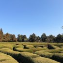 제주 아이와 가볼만한 곳 김녕미로공원 제주 동부 관광지 가족여행 후기