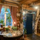 올리브트리 이미지