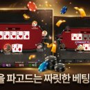 레이즈홀덤 이미지