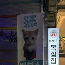 빅보스 복싱 체육관 이미지