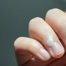 지제이투어 - 서대문구 연희로5길 54-3 | 흑흑💦💦요리사