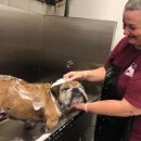 개미용실 이미지