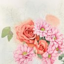 연필세밀화 | [삼원아트스폰서십] 라나 아쿠아렐 세목 300g 사용 후기 – 세밀화에 최적화된 부드러운 세목 수채화지