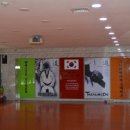 용인대박사백호태권도장 네이버블로그