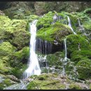 산기리마을회관 이미지