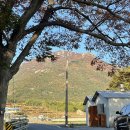 팜프라촌 이미지