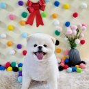 딩딩이발소 이미지