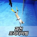 6-318 TS | 과천 원데이클래스 취미 추천 프리다이빙 후기