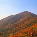 만추 - 달성군 | 만추