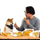 개린이세상 이미지