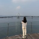 강촌출렁다리 | 춘천여행 1박2일 뚜벅이 여행 코스 추천