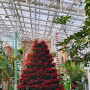 연기면_행복도시세종홍보관 | 세종시 가볼만한 곳, 국립세종수목원