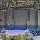 제주 아쿠아플라넷 &#39;오션아레아 공연&#39;(2025. 10. 05) 이미지