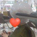 플랜에이치 헤어(응암점)