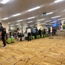 케언즈 - 한국 싱가포르항공 기내식 ft. 창이공항 쉼터