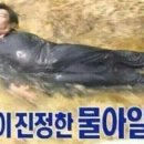 메르시 펜션 네이버블로그