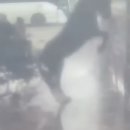 영국세차장 이미지