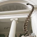 마멘치사우루스 이미지